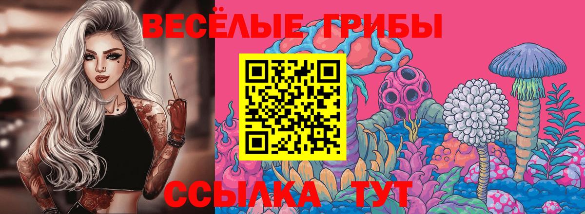 Пушкино  Псилоцибиновые грибы ЛСД  Вход с VPN  Галлюциногенные грибы Psilocybe 