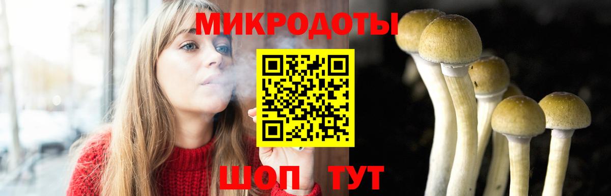 Галлюциногенные грибы мицелий Пушкино